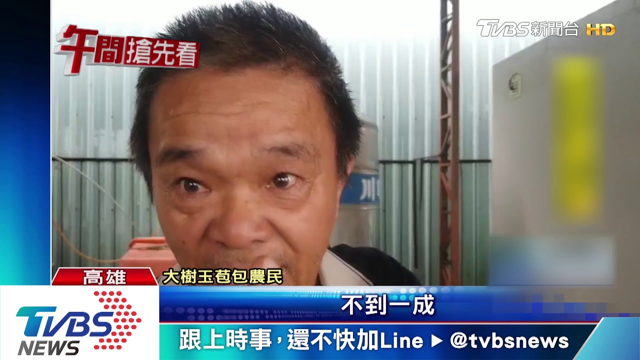 量少價翻倍! 玉荷包成「快閃高貴水果」