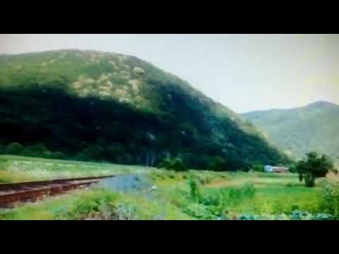 SEZONIERUL  IR 1944 SATU MARE-MANGALIA ÎN BENESAT SĂLAJ.