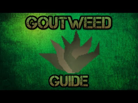 OSRS: How to get Goutweed
