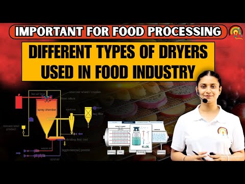 Types of Dryers in the Food Industry | Complete Guide to Food Drying Technology