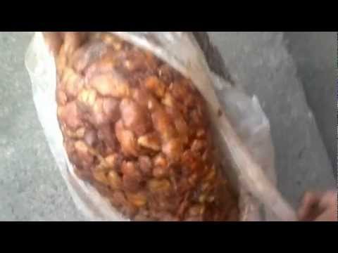 download lagu mp3 mp4 Tamarind Contact Number, download lagu Tamarind Contact Number gratis, unduh video klip Tamarind Contact Number