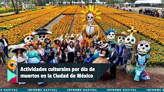 Actividades culturales por día de muertos en la Ciudad de México I Informe Capital