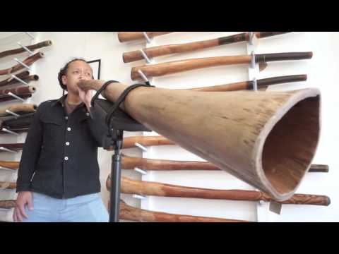 Jesse Lethbridge Didgeridoo key of F# (#3475)