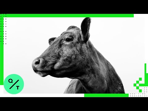 脱炭素化に向けてムーブしている理由 (Why We're Moo-ving Toward Decarbonization)