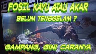 Download lagu CARA MUDAH BIKIN KAYU ATAU AKAR TENGGELAM DI AQUARIUM‼️ mp3