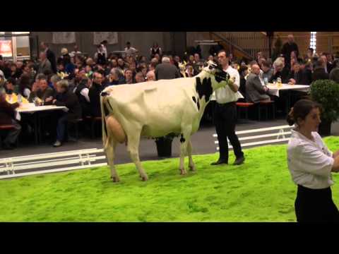 RBW-Schau 2014 - Nachzucht von Butal (1)