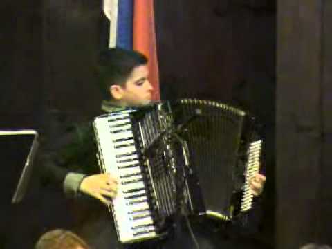 Radovan Ivanovic, harmonika,