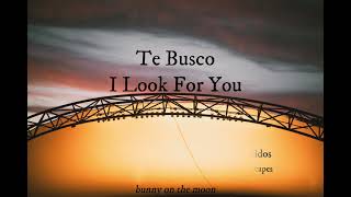 Te Busco - Celia Cruz (Lyrics Esp &amp; Eng)