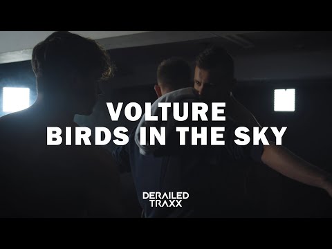 Volture - Birds In The Sky (Official Music Video)