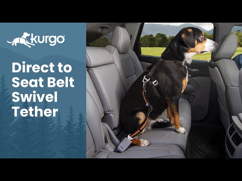 Kurgo Seatbelt Tether with Carabiner - Black Video