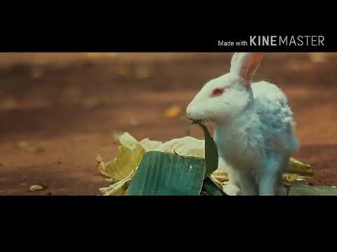 download lagu mp3 mp4 Jay Jay Mahishasura Mardini Ringtone, download lagu Jay Jay Mahishasura Mardini Ringtone gratis, unduh video klip Jay Jay Mahishasura Mardini Ringtone