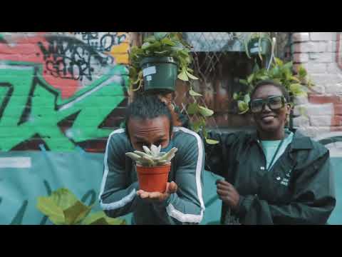 Play Video Youtube Video