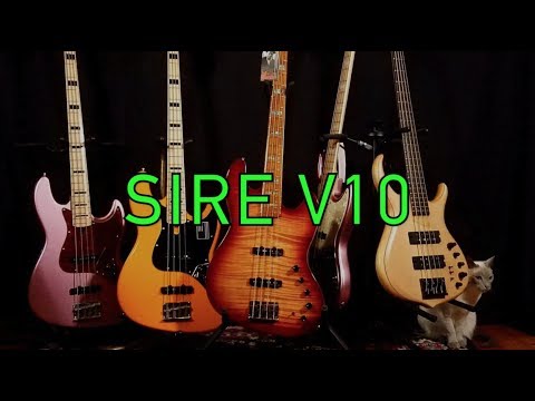 Sire V10 - Long Term Review - Is It Good?