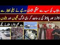 Punjab Ki Subse Mehangi Shahdi | Dolhay Ne Helicopter Se Dollar's Aur Pound's Ki Barsat Kar De