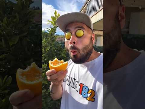 #funny #shorts🍡🍡🥑🥑🥑#545