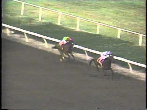 1991 Silver Belles H. -- Paseana