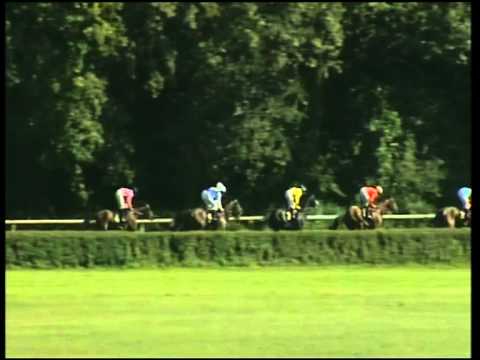 Hoppegarten, 122. Grosser Preis von Berlin, 22.7.2012 - Sieger: Meandre