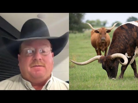 Top cattle rancher says 