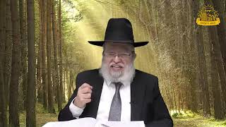 דף היומי בחצי שעה – סנהדרין דף ד'