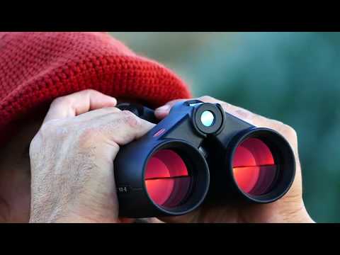 Red Stag Patagonia - Red Stag hunting in Junin de los Andes, Argentina