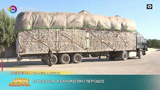 ΣΥΝΕΧΙΖΕΤΑΙ Η ΕΚΚΟΚΙΣΤΙΚΗ ΠΕΡΙΟΔΟΣ 05 10 2026