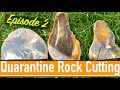 QUARANTINE ROCK CUTTING: Episode 2 - Cutting and Polishing Montana Petrified Wood & Jasper #WithMe QUARANTINE ROCK CUTTING: Episode 2 - Cutting and Polishing Montana Petrified Wood & Jasper #WithMe