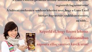 Gano Excel üzleti bemutató