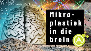 Mikroplastiek in die brein
