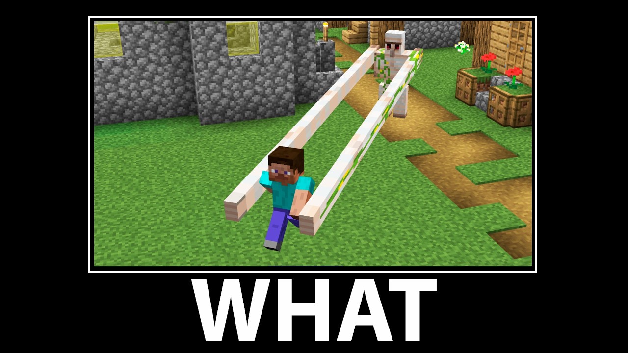 WAIT WHAT - Minecraft #35