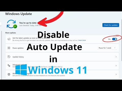How to Disable Auto Update in Windows 11