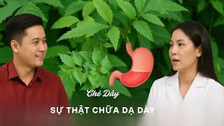 Hết Đau Dạ Dày, Không Cần Uống Thuốc Tây – Bí Quyết Từ Lá Cây Chè Dây!