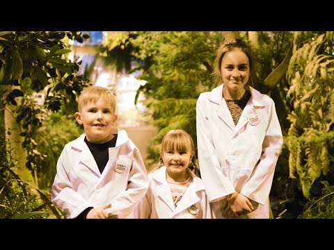 Lasten yliopiston tiedepartio: Kuinka paljon maailmassa on eläimiä?