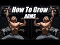 How To Get Bigger Arms