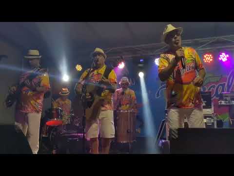 Uma hora só das melhores Marchinha. 🤩👏👏🎼 2023 ( Banda Tropical Show)