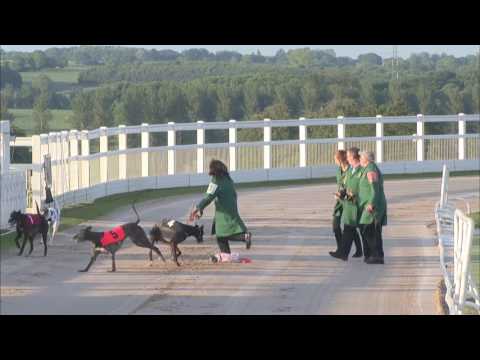 2017 STAR SPORTS DERBY - ROUND 1 HEAT 2 - T2 GARRYVOE BOBBY