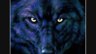 Sieger stehen da auf wo Verlierer liegen bleiben - Frei.Wild