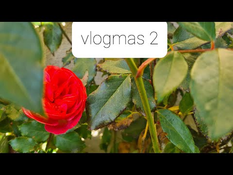 Yarnflakes Vlogmas 2021 - episode 2
