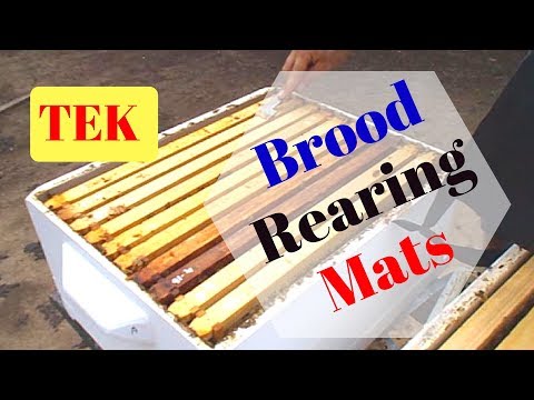 2. 4 Making Brood Rearing Mats -  plus fitting - Time to place