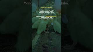 Download lagu story WhatsApp kata kata #youtubeshorts #youtube #viral #fypシ #story mp3 Download lagu story WhatsApp kata kata #youtubeshorts #youtube #viral #fypシ #story mp3