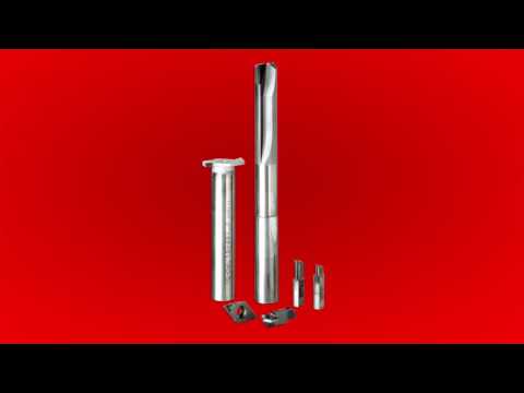 PCD cutting insert : custom : profiled