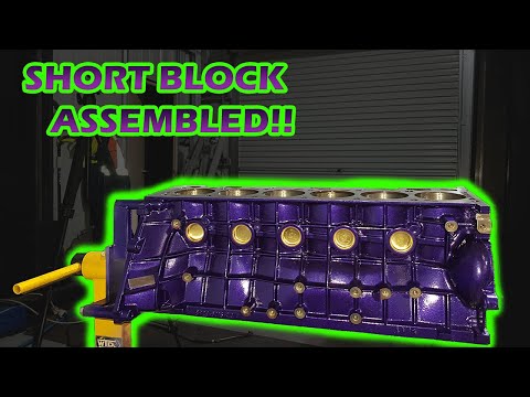 HOW TO REBUILD A BARRA! Oil rings, Rod Bolts, Bearing Clearances and Piston Install