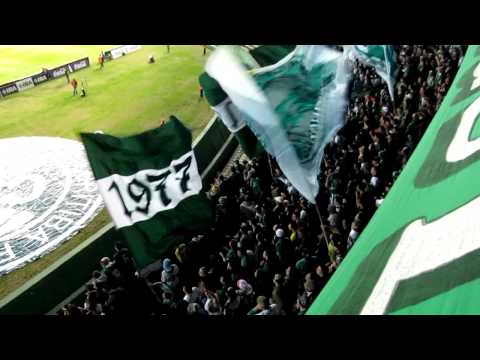 Coritiba x Figueirense - Campeonato Brasileiro 2011