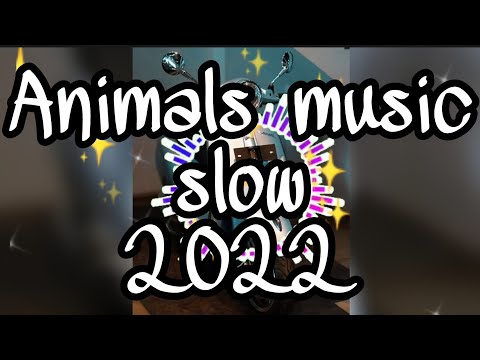 Rendra Sk2 - Animals music slow 2022