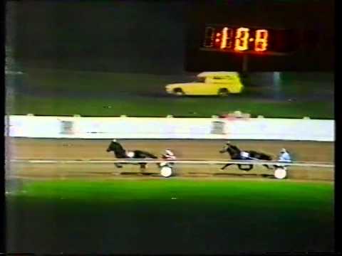 1980 harness racing Match Race Pure Steel v Satinover