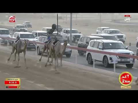 ش 1 شداد زمول محليات (دسمان) علي راشد غدير الكتبي 12:39:40 ، ختامي الوثبة 2026/05/20