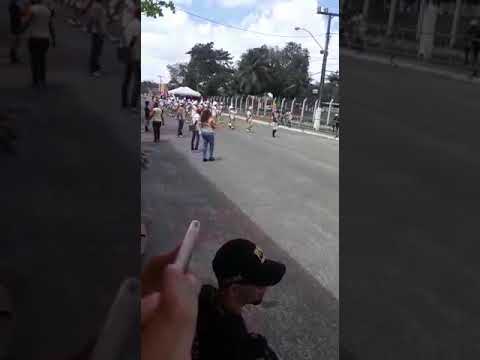 Fammir mas uma vez campeão Escreve.se