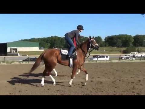 Princess of Sylmar breezes at Belmont June 1
