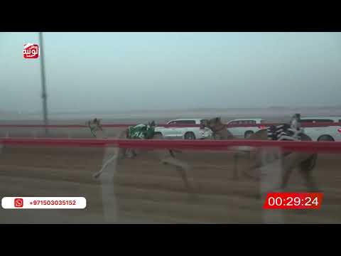  ش 1 (الطويله) لـ راشد مبارك بالعري الشامسي 2:03 ، شارة الصندوق 2026/05/30 فطامين الروضة