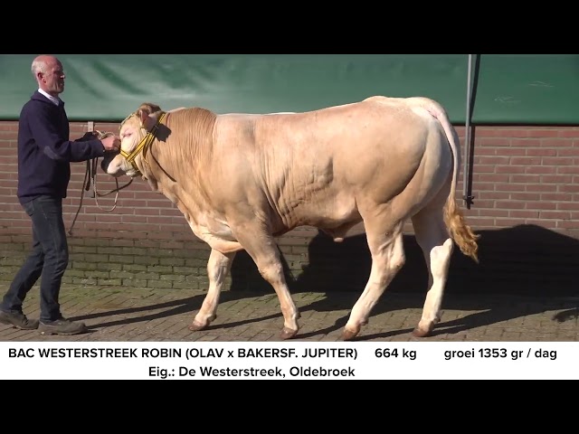 BAC Westerstreek Robin