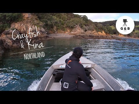 Crayfish & Kina Dive | Northland